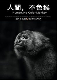人間，不色猴封面